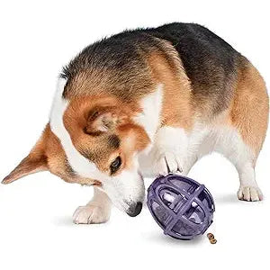 Busy Buddy Kibble Nibble Feeder Ball – The Ultimate Snack Time Toy