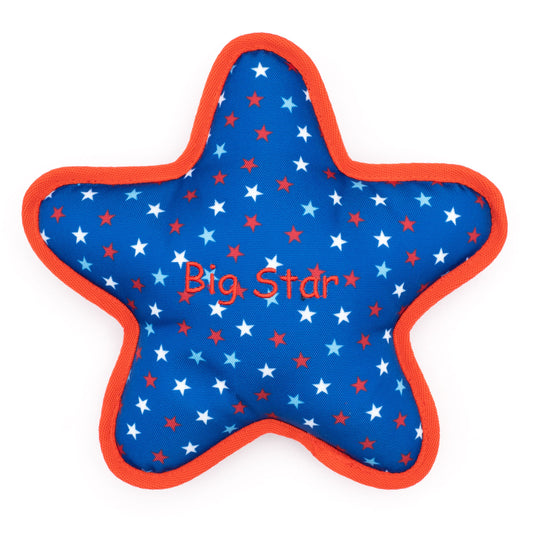 The Worthy Dog Star Blue Collar for Small and Large Dogs