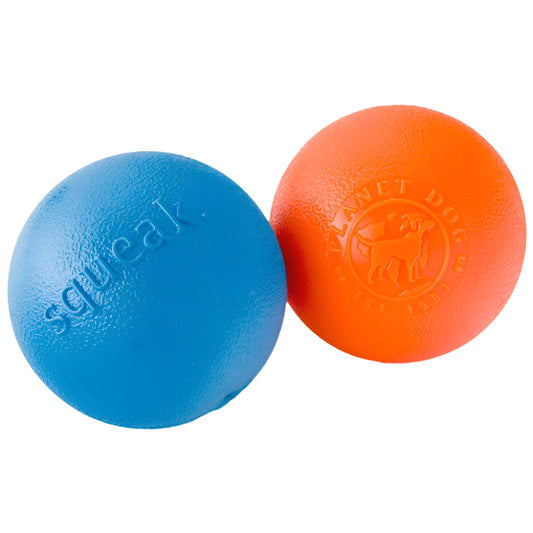 Outward Hound Squeak Ball Dog Toy Durable Interactive Fetch Toy for Dogs