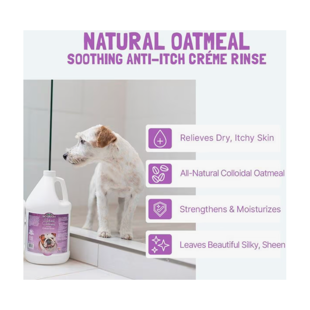 Bio Groom Natural Oatmeal Soothing Anti-Itch Shampoo 1ea/12 oz