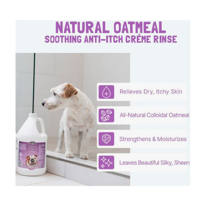 Bio Groom Natural Oatmeal Soothing Anti-Itch Shampoo 1ea/12 oz