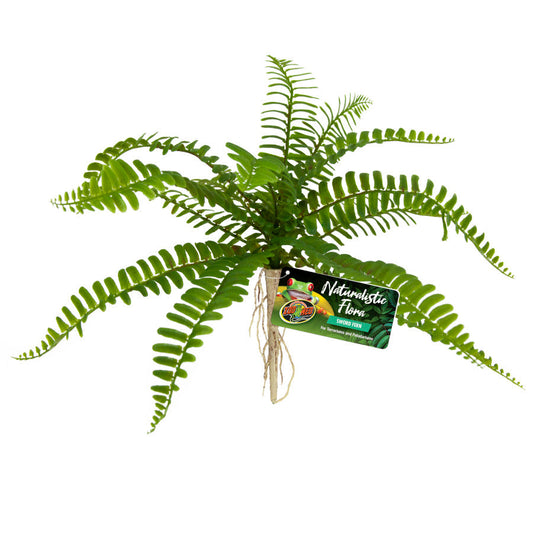 Zoo Med Naturalistic Flora Sword Fern Terrarium Plant Green, Tan,