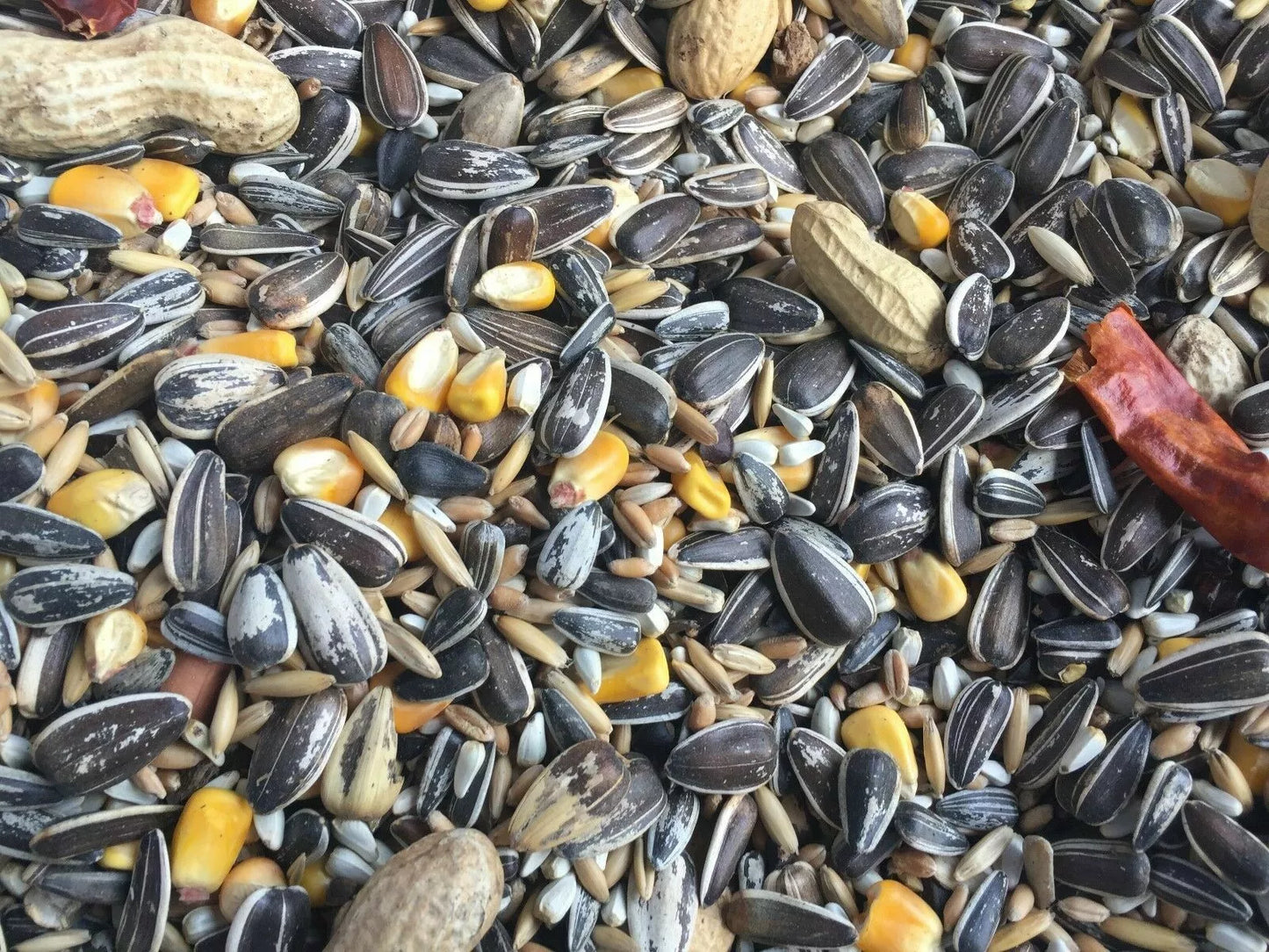 Supreme Blend Parakeet 50 Lb
